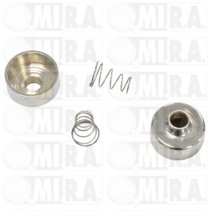 Kit Coperchi Cromati Perni Fissaggio Bracci Tergi per Fiat 500 D/F/N Ricambi per Auto d'epoca