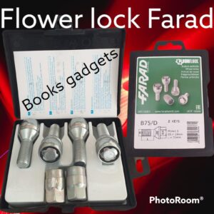 Per Great Wall Motors Ora Funky Cat dal 2023 Kit Bulloni Antifurto Flower Lock Farad Cerchi in Acciaio