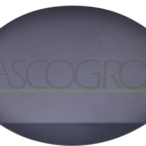 25 ME8003501 Per Mercedes R (W251) 08/2005-04/2010 Sportello Carburante A2517570206