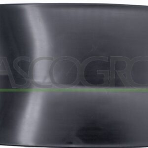 25 RN9183501 Per Renault Kangoo 01/2008-10/2012 Sportello Serbatoio Carburante 8200499045