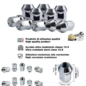 989 DR/13-10 Kit 10 Dadi chiusi Esagono19 M12X1.5 Lunghezza 34mm Simoni Racing